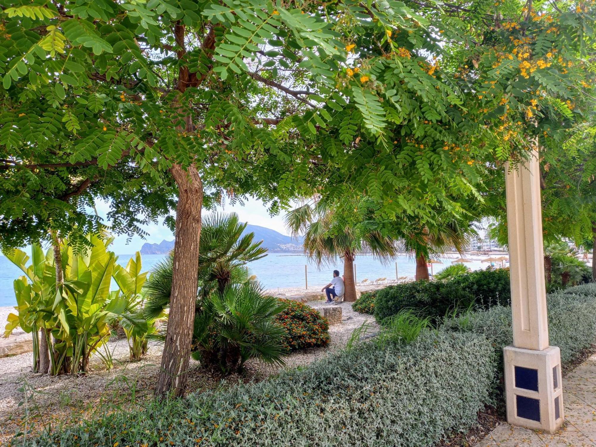 Townhouse Los Olivos M Altea Eksteriør billede